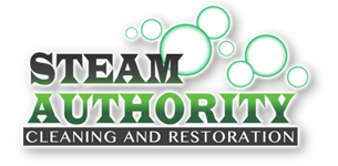 steamauth-logo_sm1